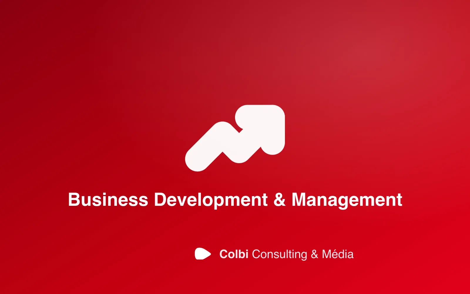 Stratégie de croissance, développement commercial et management pour les entreprises de Guadeloupe et des Antilles — Colbi